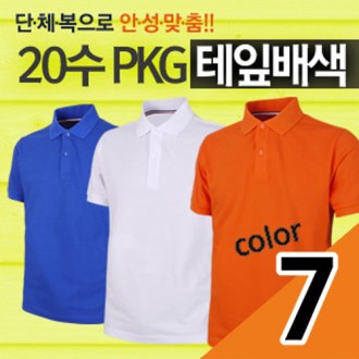20�� PKG ���� ��� ���� ����
